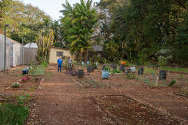 Jardim experimental