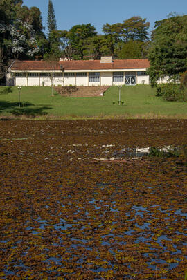 Herbário
