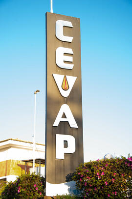 Centro de estudos de venenos e animais peçonhentos - CEVAP