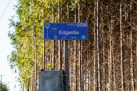 Entrada fazenda Edgárdia