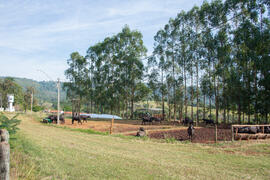 Fazenda Edgárdia