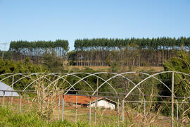 Fazenda experimental de São Manuel